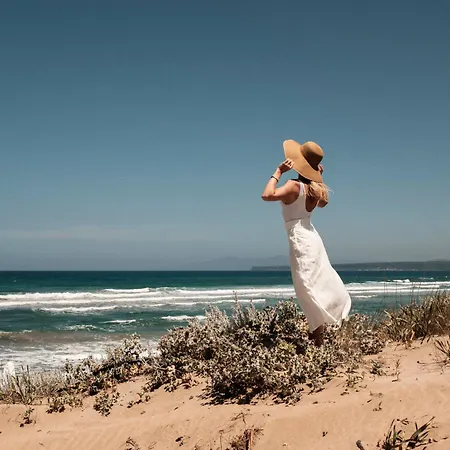 Is Arenas 5* Narbolia