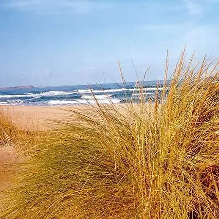 Is Arenas Hotel Narbolia