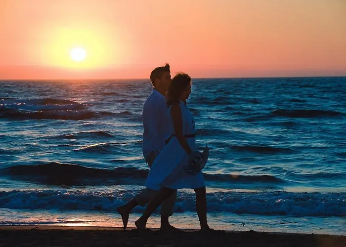 Is Arenas 5* Narbolia