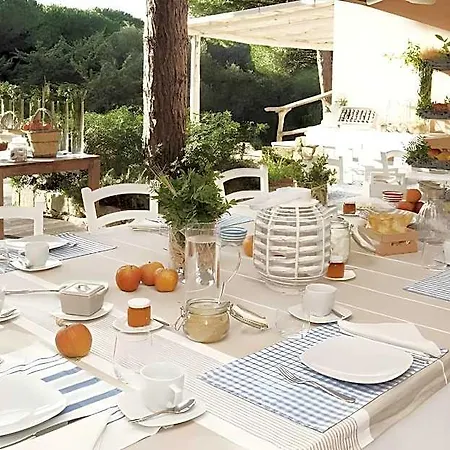 Is Arenas 5* Narbolia