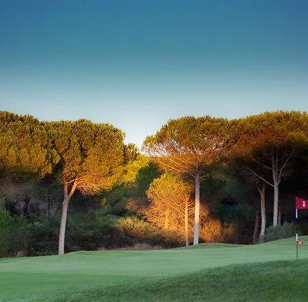 Is Arenas 5* Narbolia