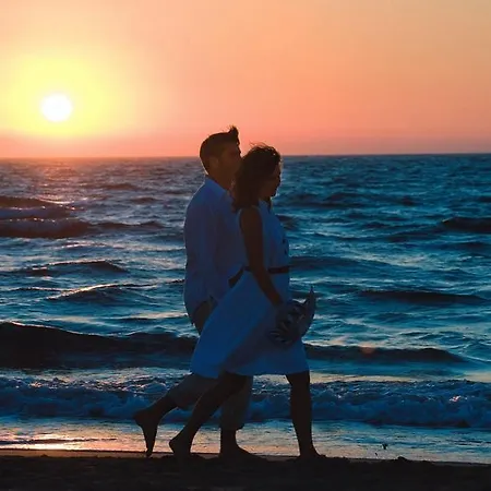 Is Arenas 5* Narbolia