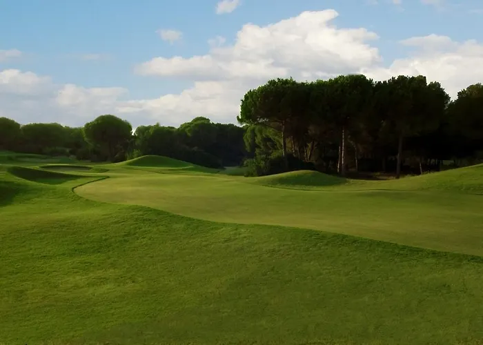 Is Arenas 5* Narbolia