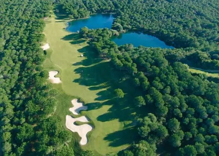 Is Arenas 5* Narbolia